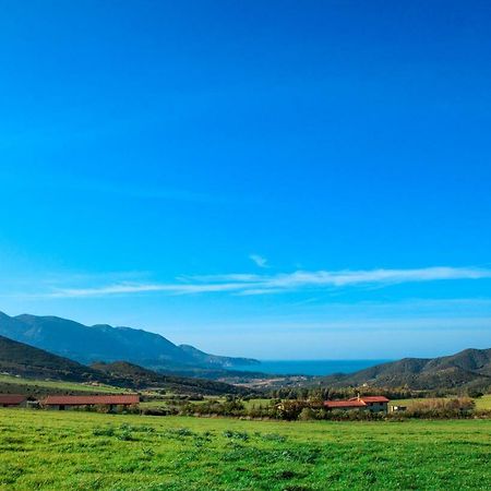 Agriturismo Il Ginepro Fluminimaggiore Bagian luar foto