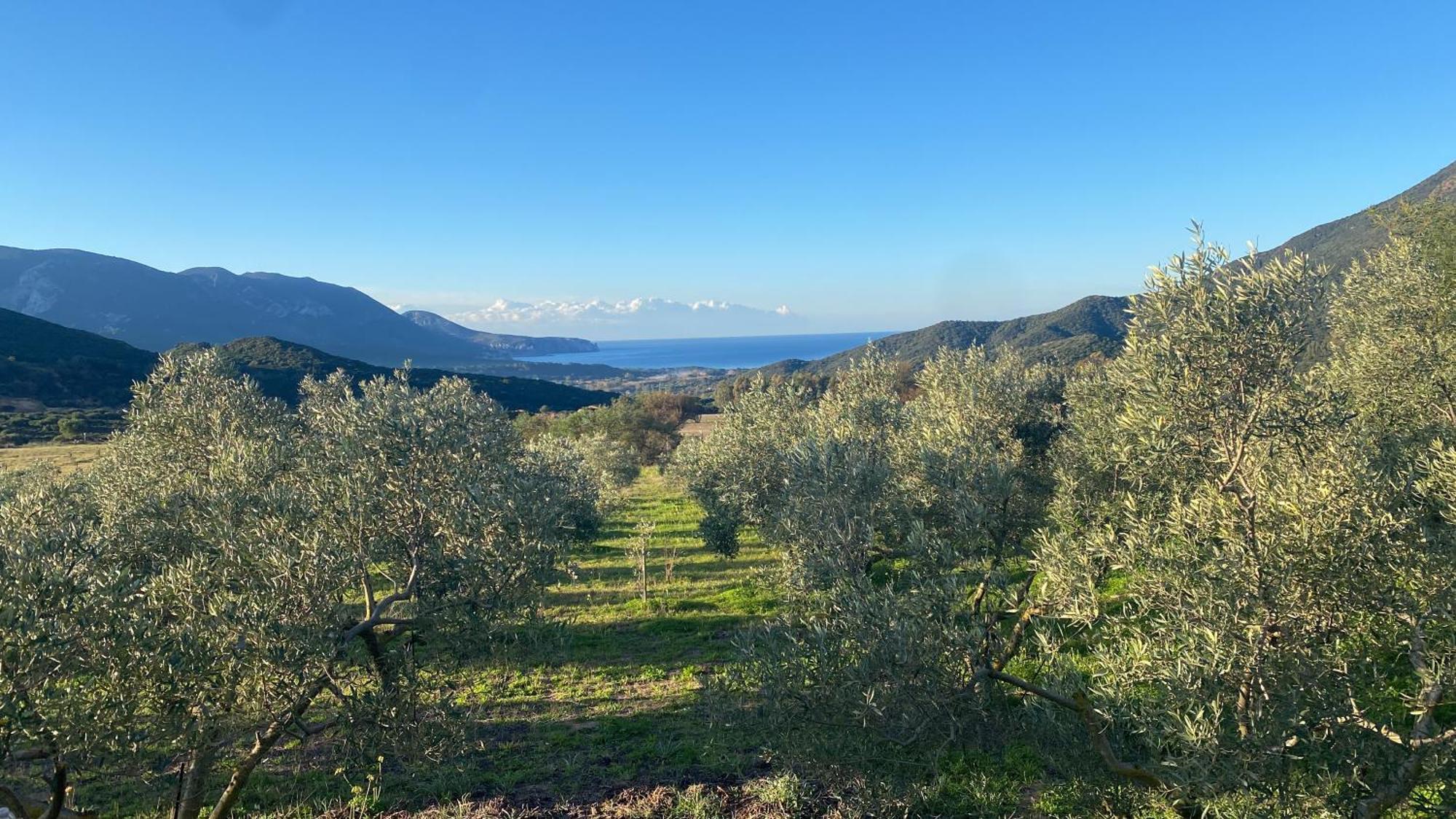 Agriturismo Il Ginepro Fluminimaggiore Bagian luar foto