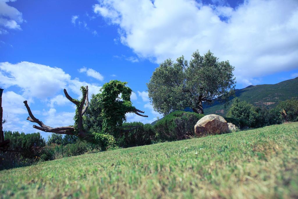 Agriturismo Il Ginepro Fluminimaggiore Bagian luar foto