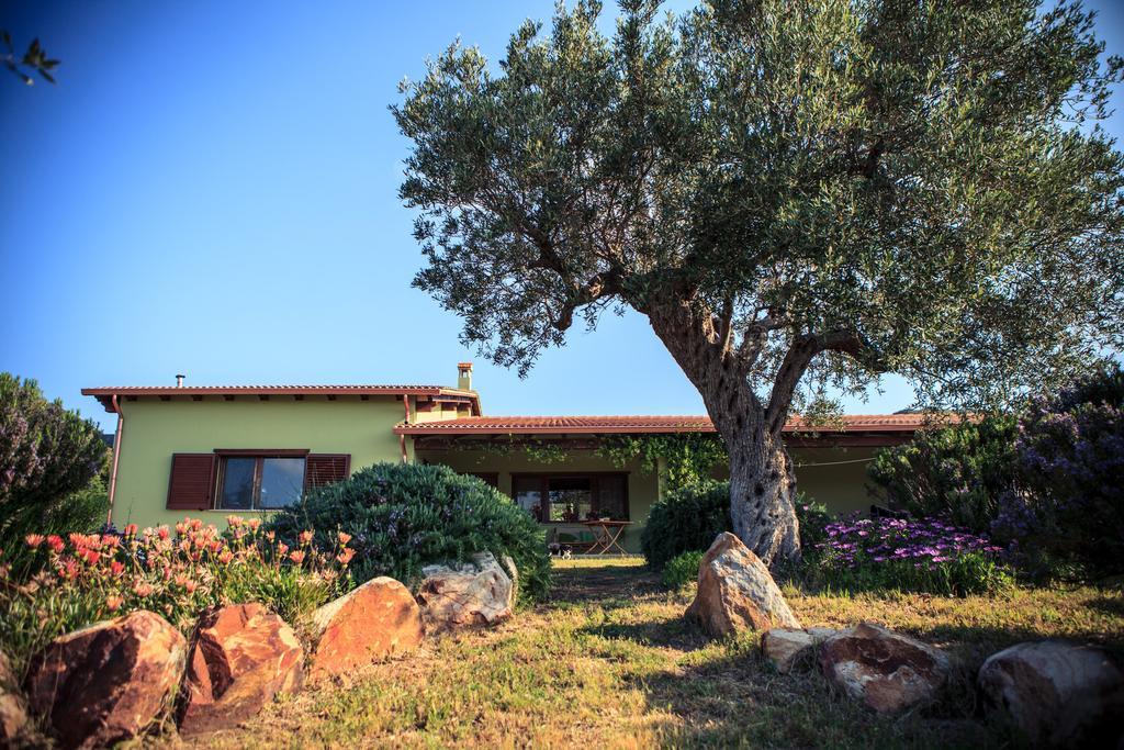 Agriturismo Il Ginepro Fluminimaggiore Bagian luar foto