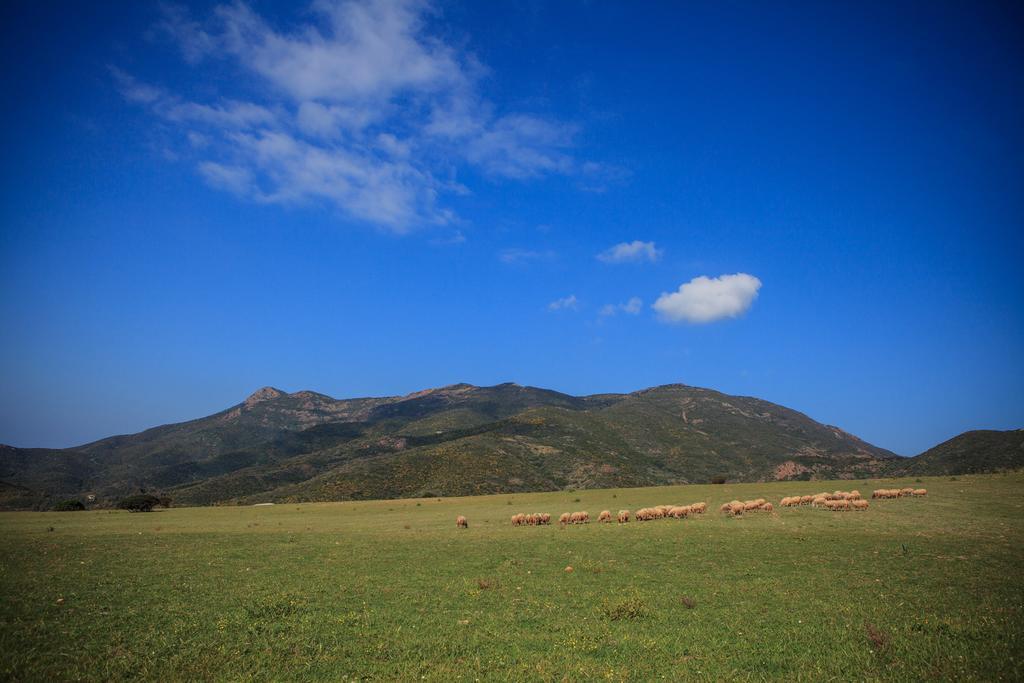Agriturismo Il Ginepro Fluminimaggiore Bagian luar foto