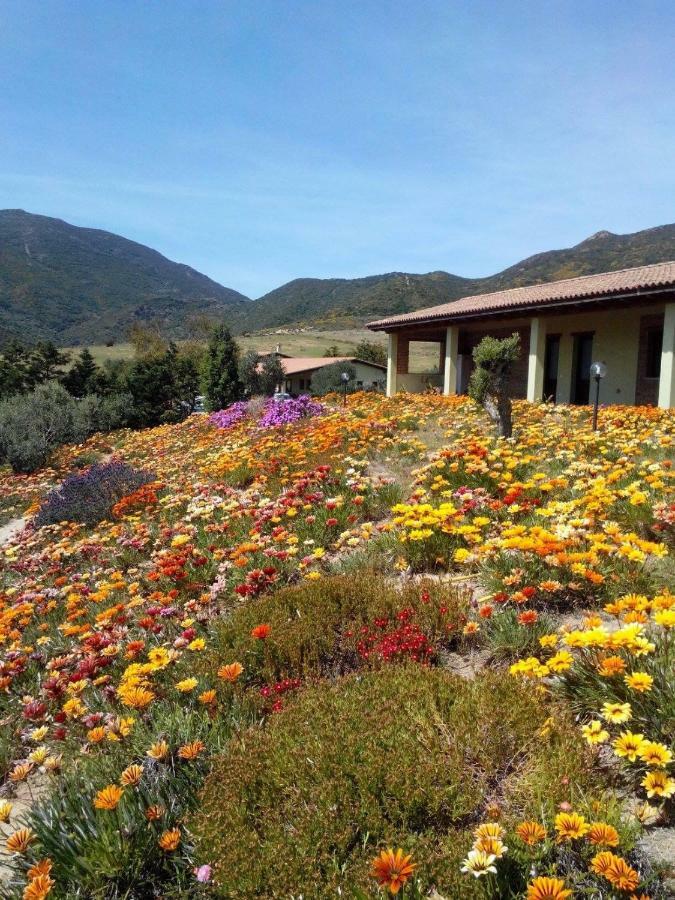 Agriturismo Il Ginepro Fluminimaggiore Bagian luar foto