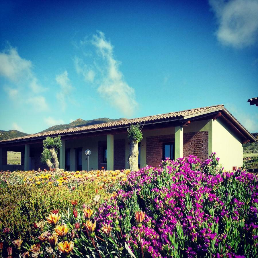 Agriturismo Il Ginepro Fluminimaggiore Bagian luar foto