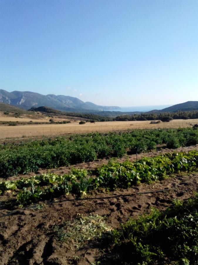 Agriturismo Il Ginepro Fluminimaggiore Bagian luar foto